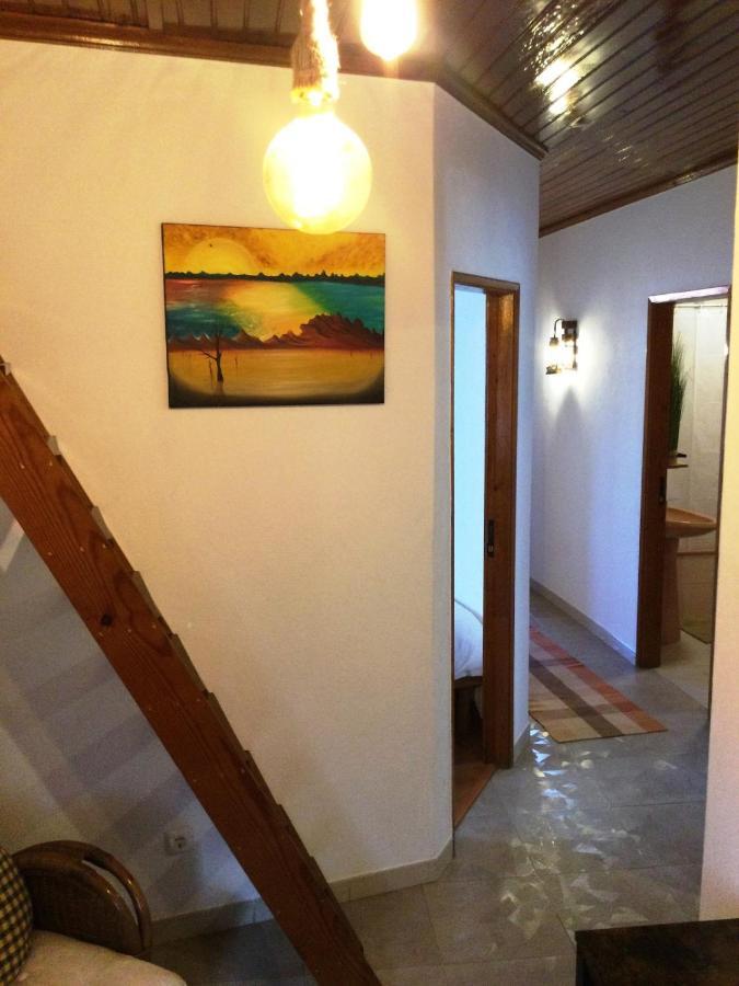 Art'Rio - Casa No Rio Em Dornes Villa Exterior foto